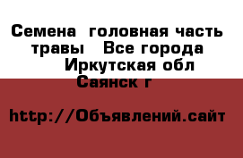 Семена (головная часть))) травы - Все города  »    . Иркутская обл.,Саянск г.